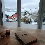 Apartment Große Auszeit Eifel Mit Sauna, Kamin Und Terrasse *